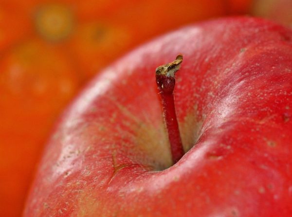 Red Apples - Image 4