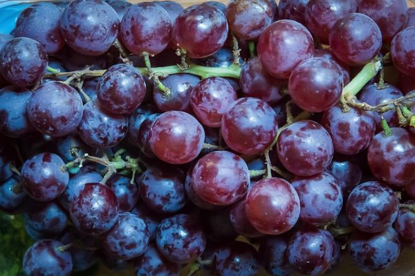 Red Grapes
