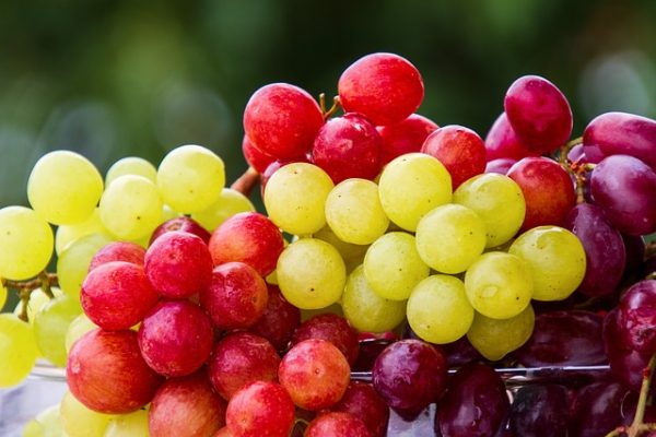 Red Grapes - Image 2