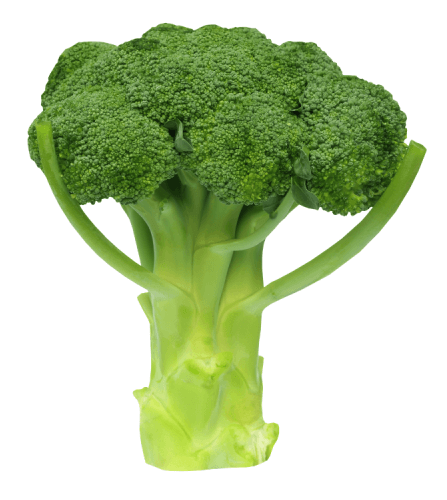 Green Brocoli