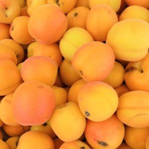 Apricots