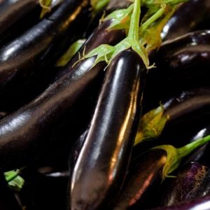 Aubergine