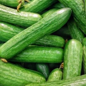 Baby Cucumber