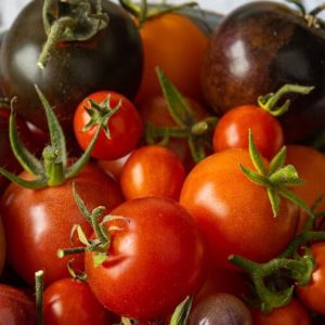 Baby Plum Tomatoes