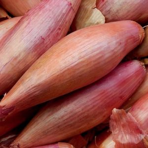 Banana Shallots
