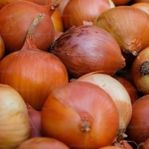 Brown Onion