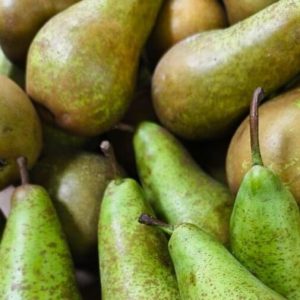 Conference Pear