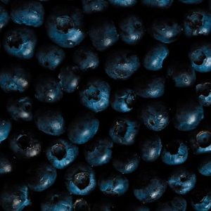 English Blackberry