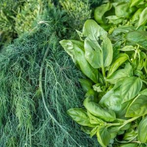 Fresh Herbs