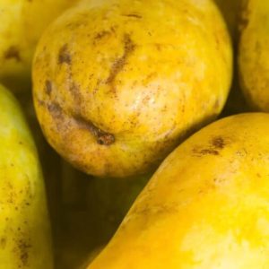 Large Mango