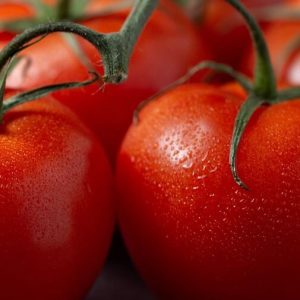 Organic Heritage Tomato