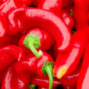 Red Peppers