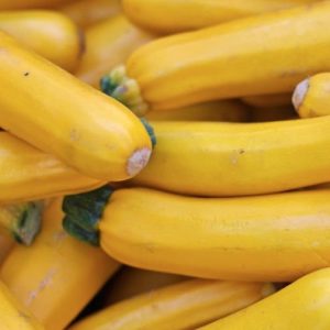 Yellow Courgette